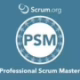 PSM